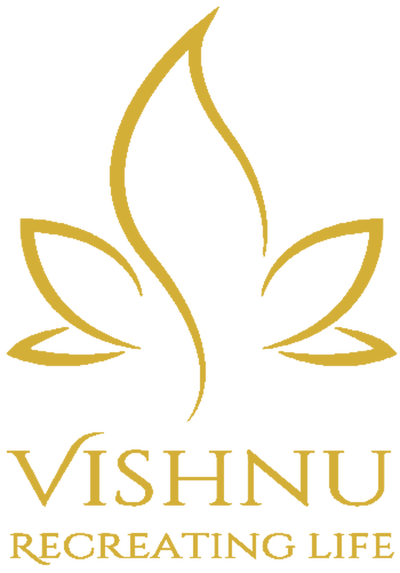 Vishnu Integrated Surgical Clinic